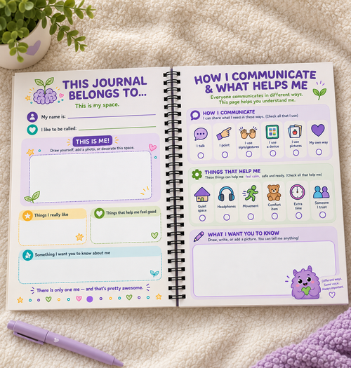 30-Day Guided Visual Routine & Feelings Journal